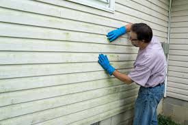 Best Insulated Siding Installation  in Lake St Louis, MO